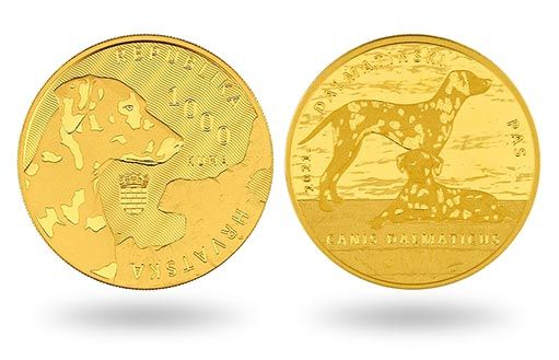Пятнистый пес предстал на коллекционных золотых монетах Хорватии
