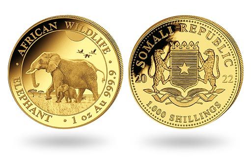 По заказу Республики Сомали выпустили золотые инвестиционные монеты Слон