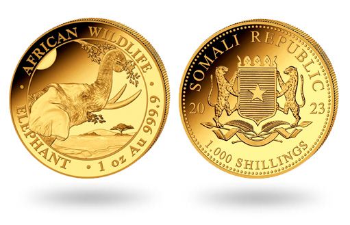 Сомали посвятили инвестиционные золотые монеты слону
