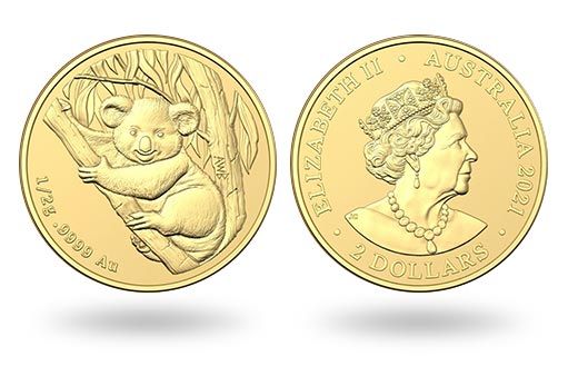Мини коала на золотых монетах Австралии