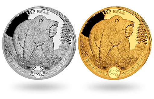 Медведь на золотых и серебряных монетах