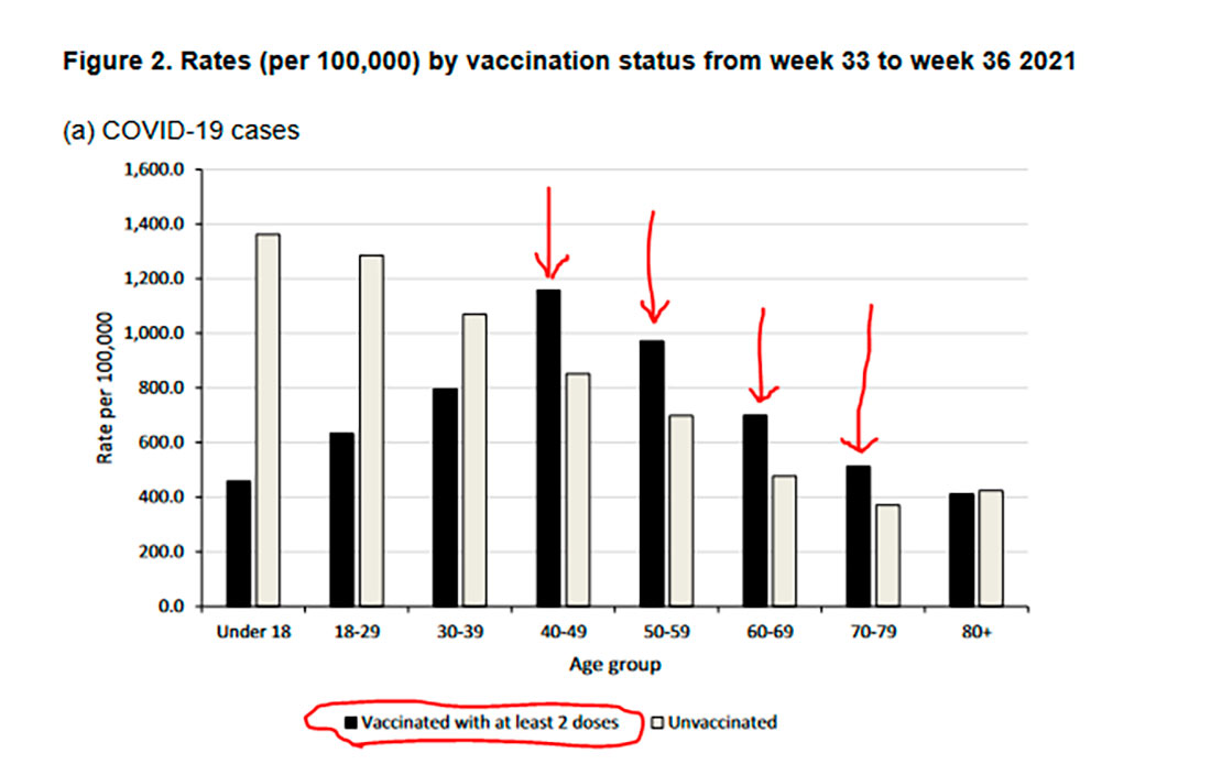 Данные по вакцинации в период с 33 по 36 недели