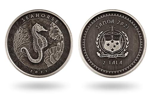 По заказу Самоа изготовили серебряные монеты с изображением представителя подводного мира