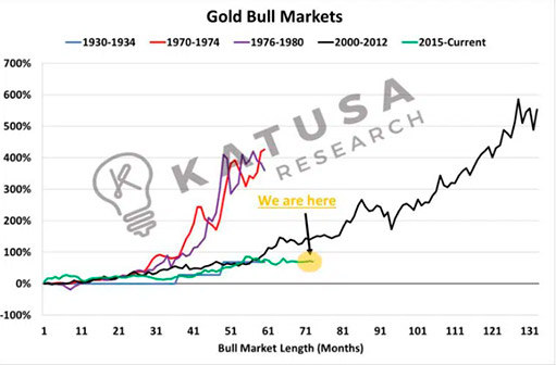 бычьи рынки золота