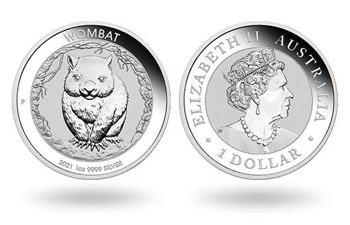 Австралия посвятила серебряные монеты вомбату