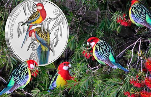 Серебряные монеты Ниуэ с экзотической птицей