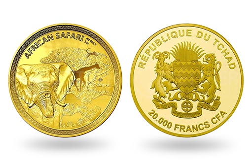 африканский слон на золотых монетах Чада