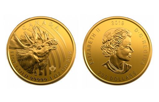 Инвестиционная золотая монета из серии «Зов дикой природы», посвященная символу этой страны — лосю