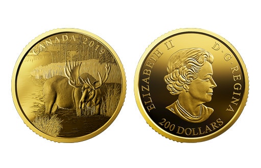 Золотая канадская монета с лосем