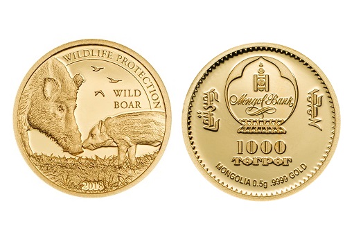 Серия золотая монета «Кабан»