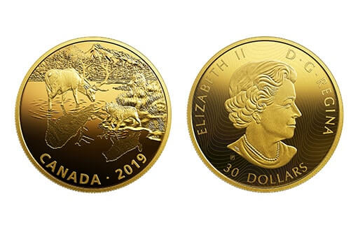 монета из серебра, плакированная золотом, с изображением лося и стерегущих его волков