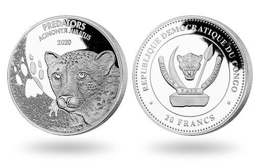 гепард изображен на серебряных монетах Конго для инвестиций