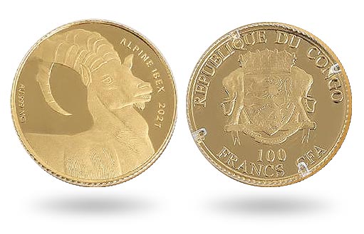 Альпийский горный козел на золотых монетах Конго