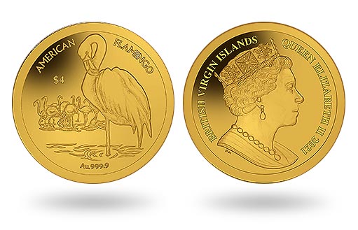 о имени Британских Виргинских островов отчеканены золотые монеты с американским фламинго