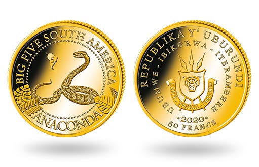 гигантская Анаконда на золотой монете Бурунди