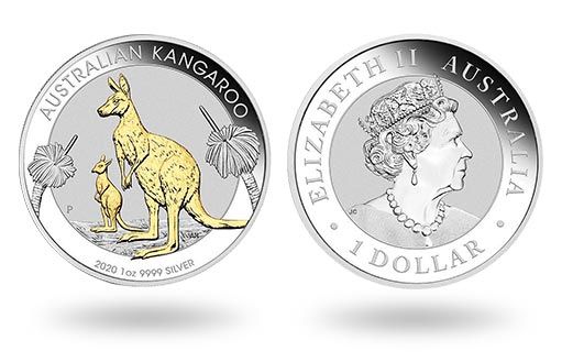 инвестиционные монеты Австралии с золотыми кенгуру