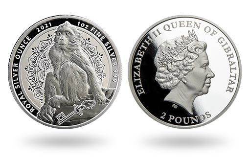 Берберийской макаке посвящены серебряные инвестиционные монеты Гибралтара