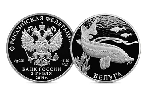 белуга на серебряной монет Банка России
