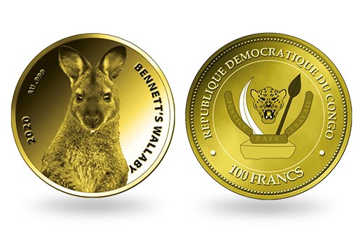 миниатюрный валлаби кенгуру беннета на золотой монете Конго