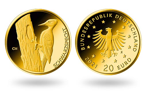 В Германии выйдет инвестиционная золотая монета чёрный дятел