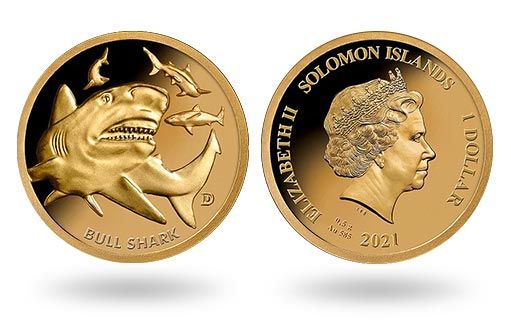 золотые монеты Соломоновых островов изображают тупорылую акулу
