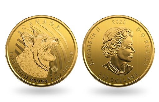 Рыжая рысь на канадских золотых монетах