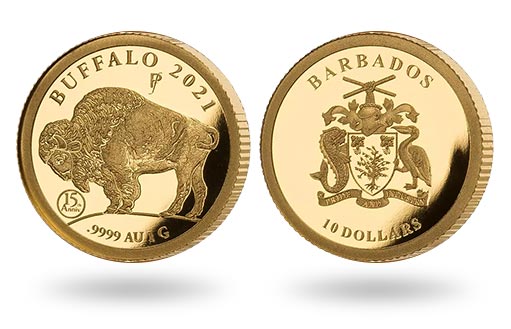 золотая монета Барбадоса Бизон Баффало
