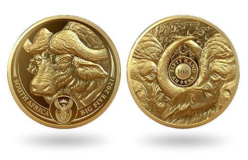 ЮАР посвятила золотую монету буйволу