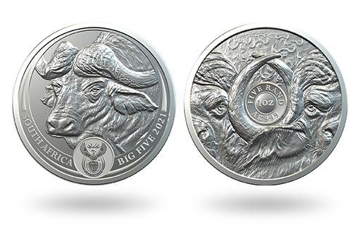 серебряные монеты ЮАР с изображением буйвола