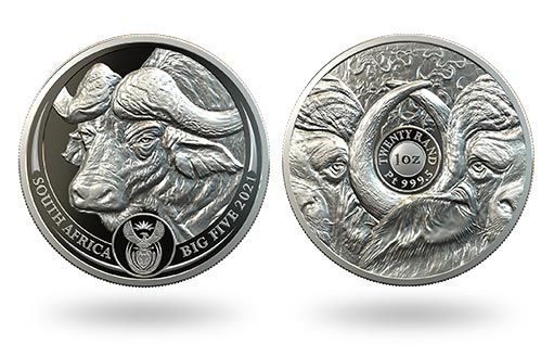 в ЮАР платиновую монету посвятили буйволу