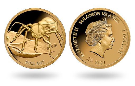 золотые монеты Соломоновых островов посвящены муравью-бульдогу
