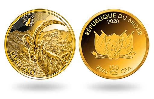 альпийский горный козел изображен на золотых монетах Нигера