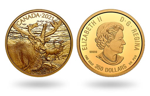 золотые монеты Канады с северным оленем