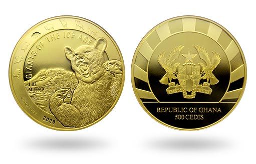 грозный пещерный медведь на золотых монетах Ганы