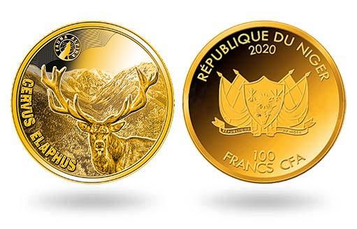 Благородный олень изображен на золотых монетах Нигера