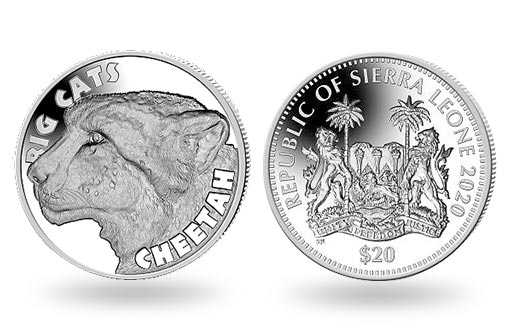 африканский гепард изображен на серебряной монете Сьерра-Леоне