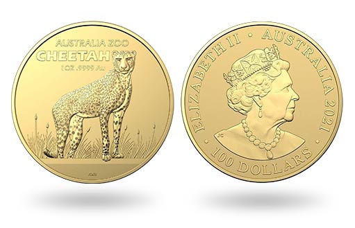 инвестиционная монета из золота Гепард австралийской серии Зоопарк