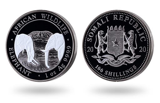 инвестиционная монета Сомали с затемненным фоном и белыми слонами