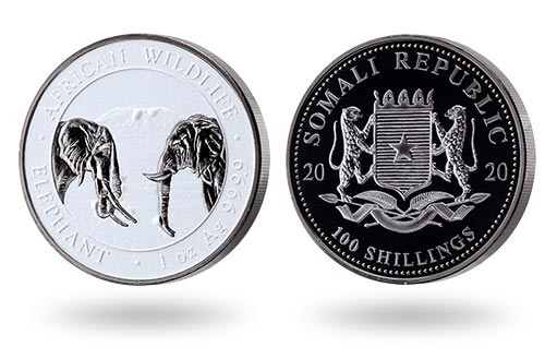 инвестиционная монета Сомали с белым фоном и черными слонами