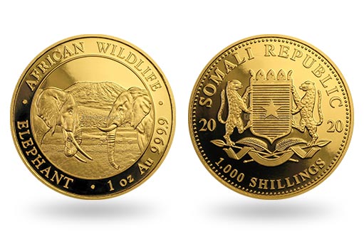 Золотые монеты Сомали с изображением слона