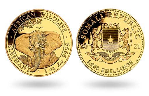 золотой слон украсил инвестиционные монеты Сомали