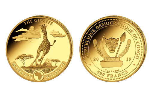 Коллекционная золотая монета из нумизматического цикла «Дикая природа мира» с изображением африканского жирафа
