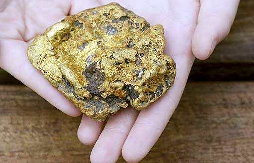 Найденный золотой самородок оценили в 25 тыс USD
