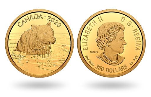 медведь гризли изображен на канадских монетах из золота