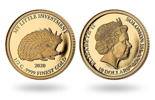 Соломоновы острова посвятили монеты ежику