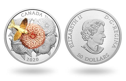коллекционная монета Колибри из серебра с позолотой вышла в Канаде