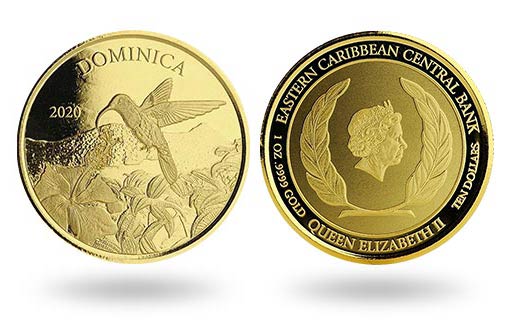 колибри стали главными героями золотых монет Доминики