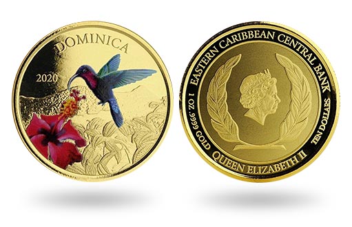 колибри стали главными героями золотых монет Доминики