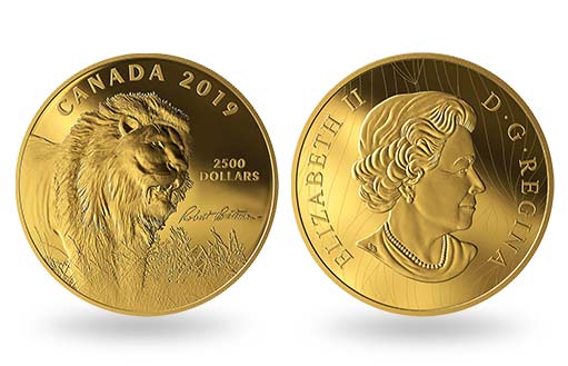 Золотая монета Канады посвящена картине «Into the light — Lion»
