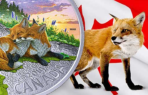 Канадские лисы на серебряной монете